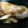 ノビル's cooksnap of when they made 定番！魚の煮つけ～タラ～.