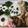 みゆりん0724's cooksnap of when they made ハロウィン弁当 キャラ弁 幼稚園 遠足.