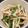 にょんこ517's cooksnap of when they made まこもたけの酢の物.