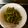 melmarilyn's cooksnap of when they made ゴーヤのほんだし炒め.