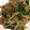 お願いひつじ's cooksnap of when they made 牛コマともやし茄子のオイスター炒め.