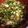 えーるーさー's cooksnap of when they made 茹で豚を美味しく☆ねぎたれ.