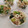 みこひろママ's cooksnap of when they made 簡単！小松菜ともやしとちくわ.