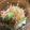 USACO66's cooksnap of when they made チンゲン菜の白和え.
