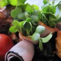 まねきねこにゃん's cooksnap of when they made お弁当やおつまみにも♬ハムの貝割れ巻き.