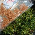 ぜんまいまぃ's cooksnap of when they made ごはん激ウマ！かぶ菜ふりかけ★.