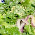 クックにくにく's cooksnap of when they made 調理実習風シンプルサラダ.