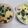 仔カピ大好き's cooksnap of when they made 松茸味のお吸い物で作る超簡単茶碗蒸し.