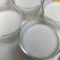 クックプ～'s cooksnap of when they made 簡単！濃い〜ふるふる牛乳プリン.