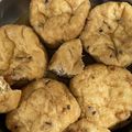 ちゃぴゆき's cooksnap of when they made がんもどき煮.
