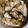 クックNP9ISV☆'s cooksnap of when they made ブリカマでぶり大根.