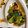 よしお03's cooksnap of when they made ∮とろりん♥青梗菜とコーンの中華炒め∮.