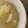 よーよー1970's cooksnap of when they made じゃがいもと玉ねぎのみそ汁.