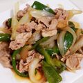 めーもん's cooksnap of when they made 豚肉と玉ねぎとピーマンのしょうが焼き.