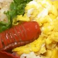ぽんず推し！'s cooksnap of when they made 弱肉強食 ウインナー.