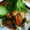 クックJ3IHQO☆'s cooksnap of when they made 野菜も一緒に「しっとり鶏むね肉の照焼き」.