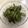 はるのすけ0510's cooksnap of when they made 美味しい枝豆の茹で方.