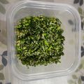 Masyi's cooksnap of when they made 砂糖不使用簡単☆人参葉ともやしのおひたし.