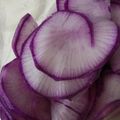 ふぁんたにゃん's cooksnap of when they made 紫大根の塩もみ【作り置き副菜】.