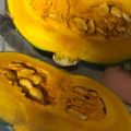 クック8KB7FJ☆'s cooksnap of when they made コツ次第♪丸ごと1個 カボチャの切り方☆.