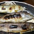 クック7FNN0F☆'s cooksnap of when they made 鮎の塩焼き　魚焼きグリル大活躍★！串なし.