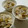 ✯聖夢✯'s cooksnap of when they made 渋皮を少し残して栗ご飯♪.