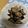 ピンクのたまご's cooksnap of when they made あっという間のなすのいためもの.
