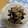 ピンクのたまご's cooksnap of when they made あっという間のなすのいためもの.
