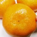 NEKOほっぺ's cooksnap of when they made 試してみて！あま〜いみかんの見分け方♪.
