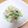 ゆゆゆかちん's cooksnap of when they made 鮭と枝豆のサラダ.