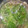 ★ひかりママ☆'s cooksnap of when they made アサリと砂肝、野菜の酒蒸し.