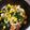☆やすちゃん☆'s cooksnap of when they made 簡単！ほうれん草のバターソテー.