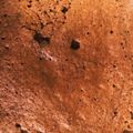 塩おにぎり。's cooksnap of when they made 大豆粉のココアカップケーキ.