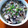 ちょこ☆1205☆'s cooksnap of when they made 簡単☆豚ときのこの塩あんかけごはん.