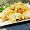 クックHG9V8Y☆'s cooksnap of when they made 手作り・揚げ餃子と焼き餃子.