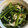 めいたんのママ's cooksnap of when they made 小松菜と油揚げの煮浸し.