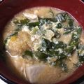 snow012's cooksnap of when they made 長ねぎと豆腐に卵とじの味噌汁。.