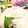 hitomi♪＊'s cooksnap of when they made 子供から大人まで大好き！おにぎり.