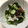 クック78R779☆'s cooksnap of when they made タコときゅうりの酢の物.