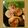 ＭＡＹＯＭＡＹＯ　's cooksnap of when they made 豚ロース薄切り肉でロールステーキ風♪.