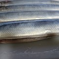 小麦粉【100g】's cooksnap of when they made ハサミで超簡単！秋刀魚の下処理.