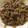 クックZ8J4H4☆'s cooksnap of when they made ごはんがすすむ☆牛肉とごぼうの甘辛炒め.