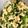 クックK0EAD7☆'s cooksnap of when they made とろ〜り ふわふわ スクランブルエッグ.
