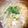 ☆リコリス☆'s cooksnap of when they made ☆トロリンもやし入り卵スープ☆.