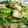 hiromi56's cooksnap of when they made ミノの味噌野菜炒め.
