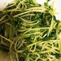 みりん調味料's cooksnap of when they made レンジで簡単！豆苗のごま和え.