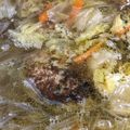 ちゃたろうにゃ's cooksnap of when they made 中華風肉団子の煮込みスープ.