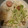 初心者mt's cooksnap of when they made ウインナーとしめじの炊き込みご飯.