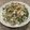 クックL4EX8U☆'s cooksnap of when they made 豆苗とツナの春雨サラダ.