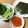 クックID3MMY☆'s cooksnap of when they made いくらのおつまみ.
